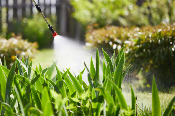 24/7 Emergency Mosquito Control experts in Cottonwood Heights, UT