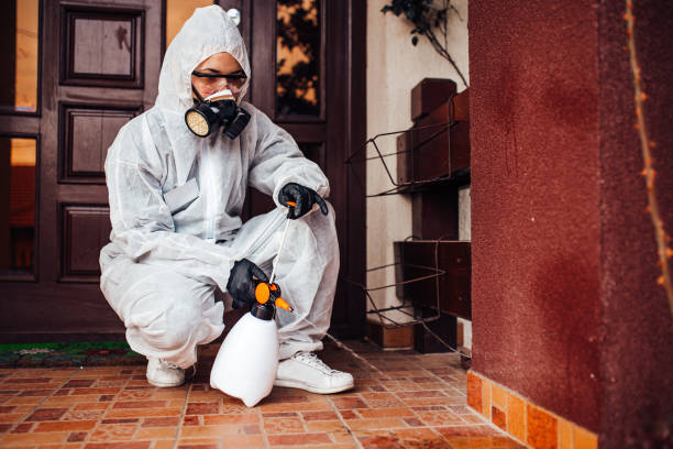Reliable Mosquito Control contractor in Cottonwood Heights, UT by Show Me Pest Control